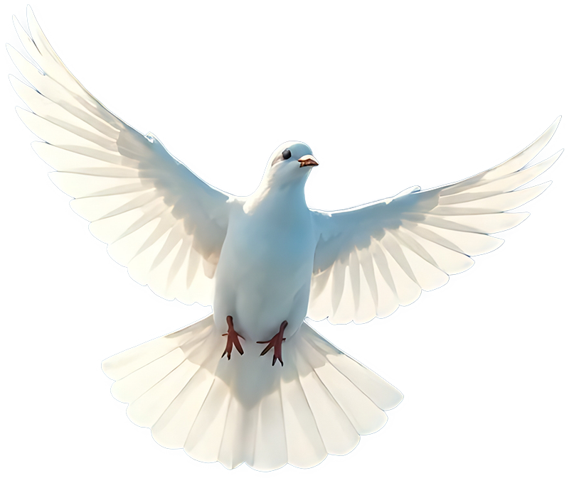 pigeon icon