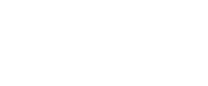 Google Logo white